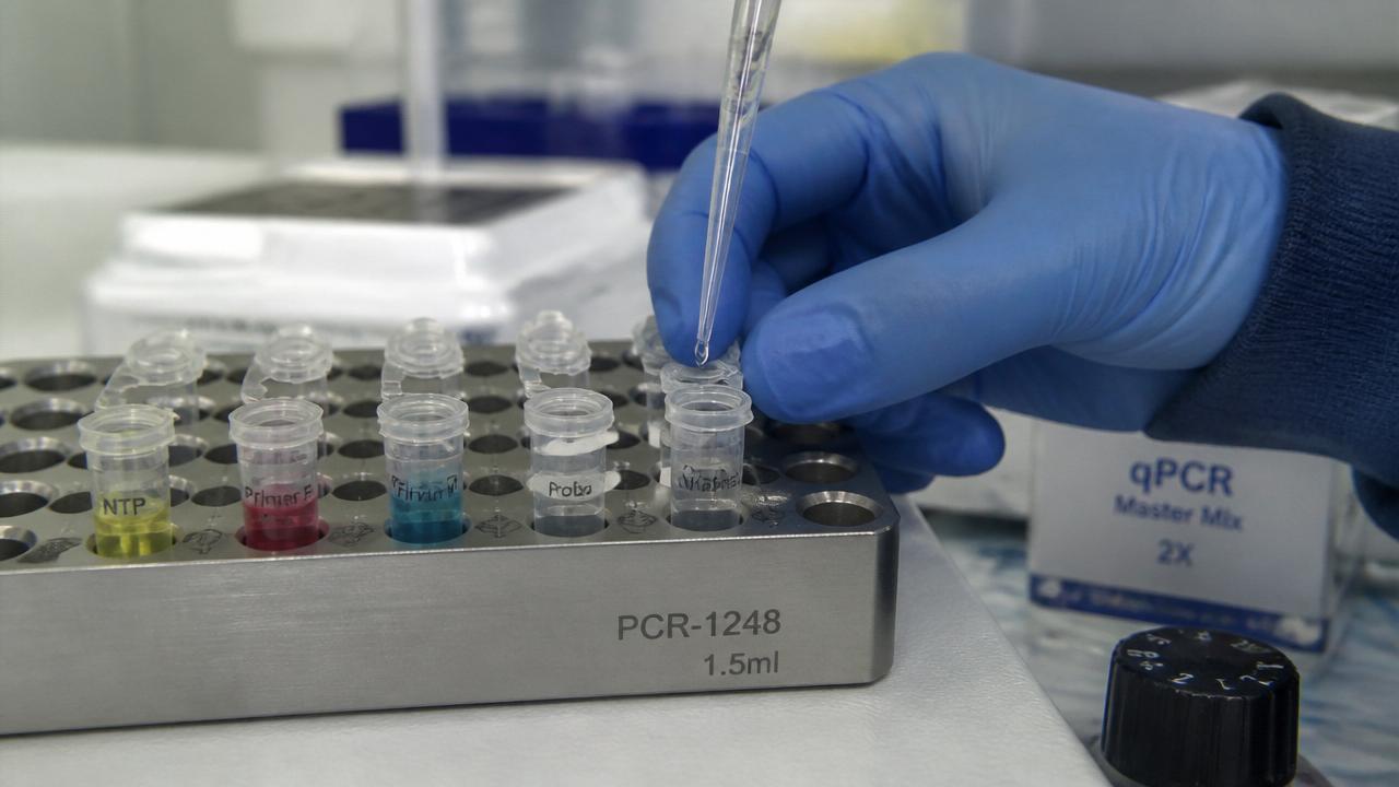 Assembling a PCR reaction on a cold-block — one reagent at a time.